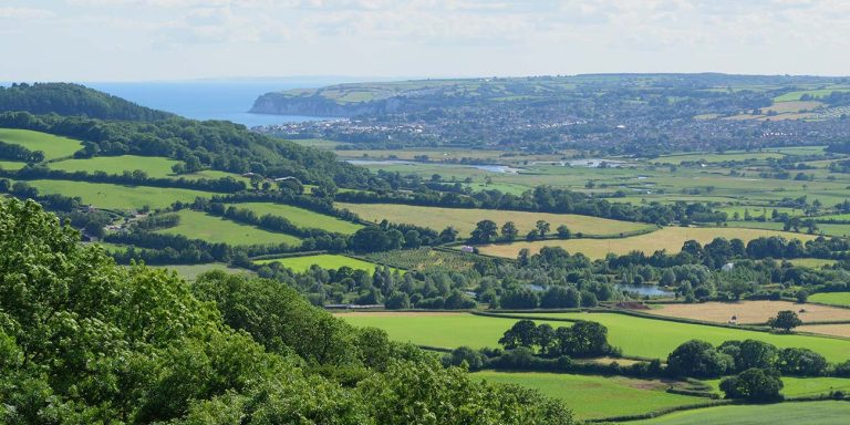 Where to Walk in East Devon