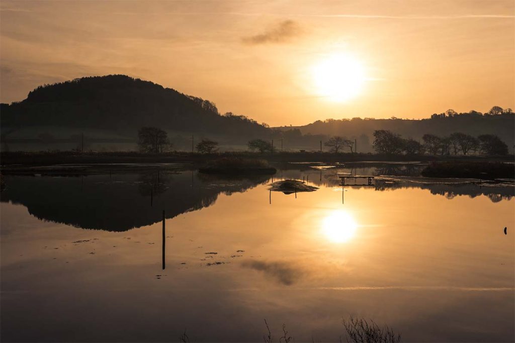 Wild East Devon