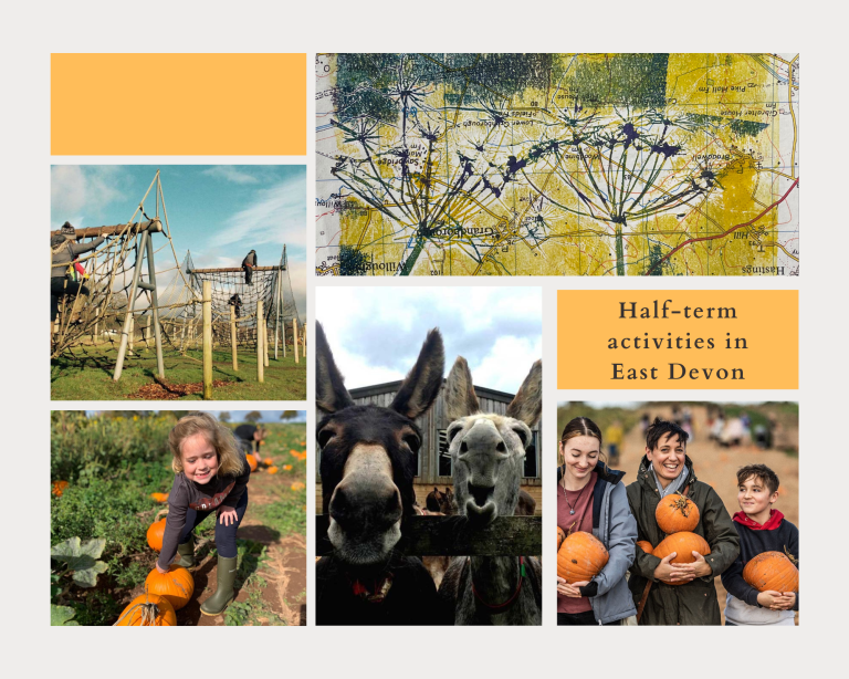 10 things to do in East Devon this autumn half-term
