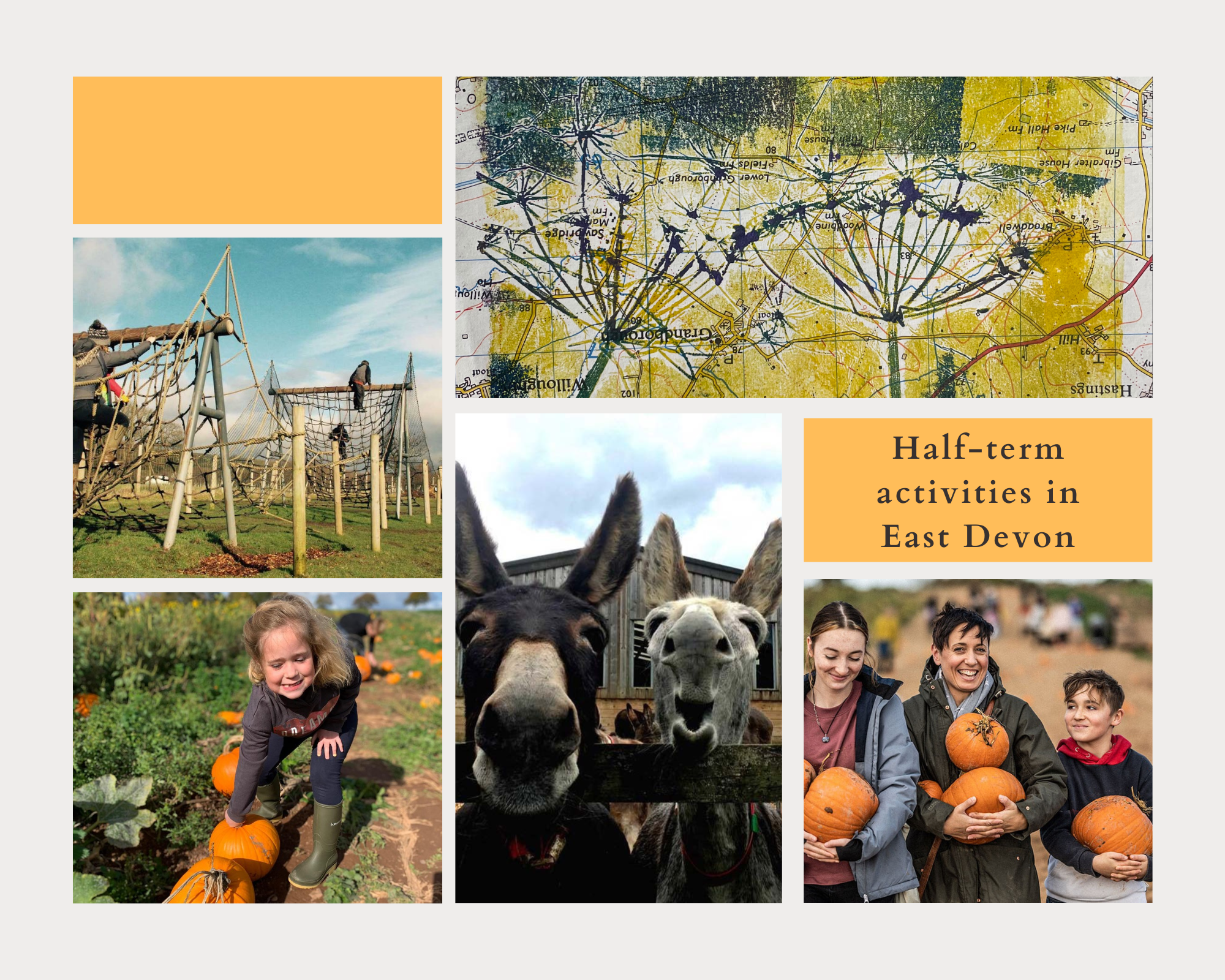 10 things to do in East Devon this autumn half-term