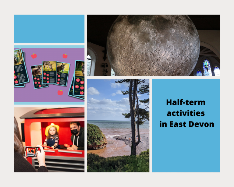 What to do with the kids in East Devon: February half-term