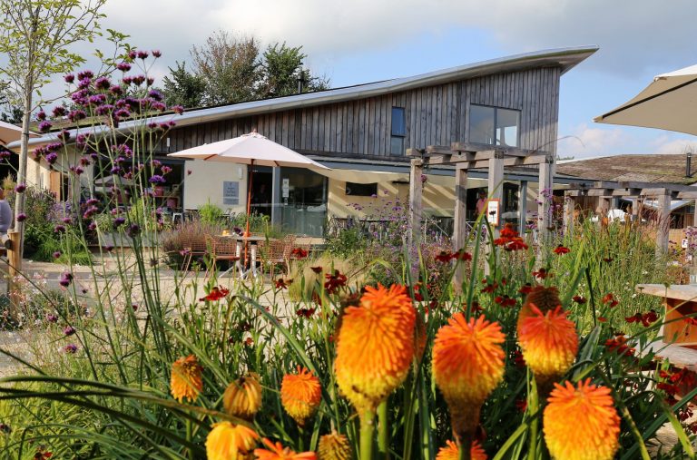 Day In The Life – Sam, bar manager: Heron Farm