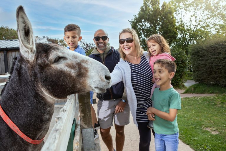 Day in the Life: Dean, The Donkey Sanctuary