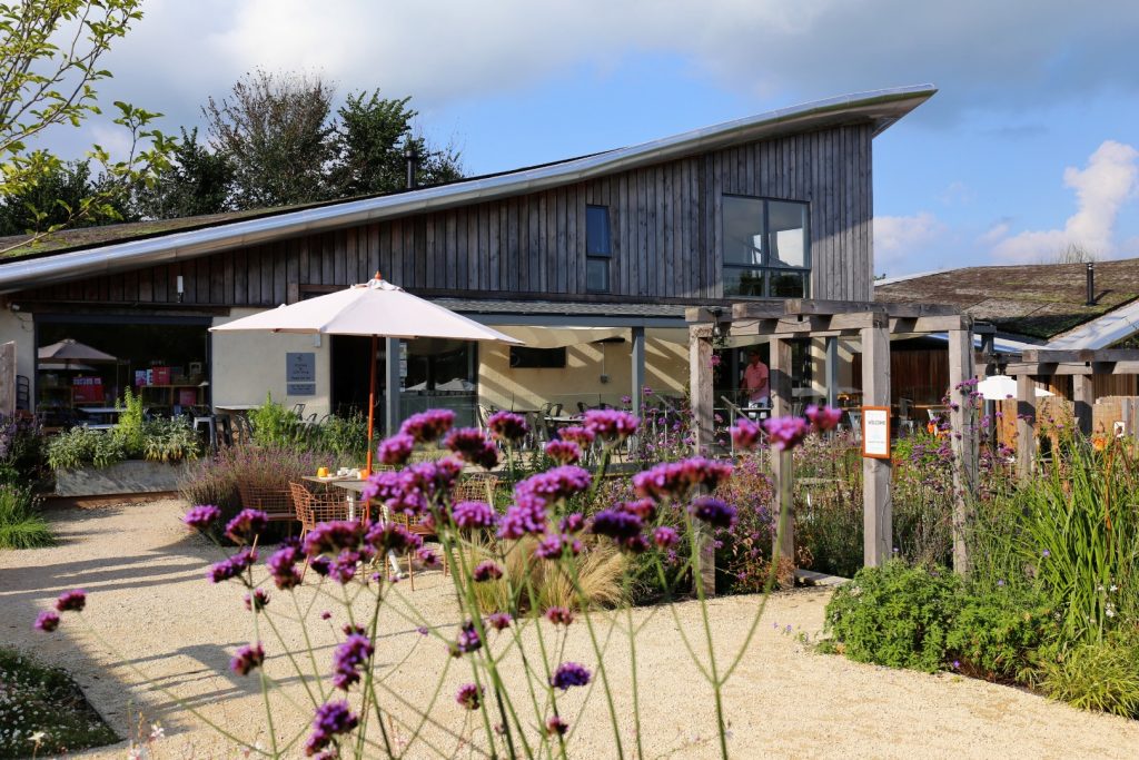 Heron Farm Vineyard