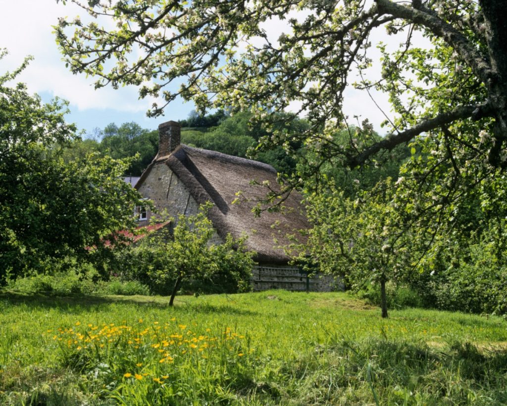 Branscombe Village – National Trust