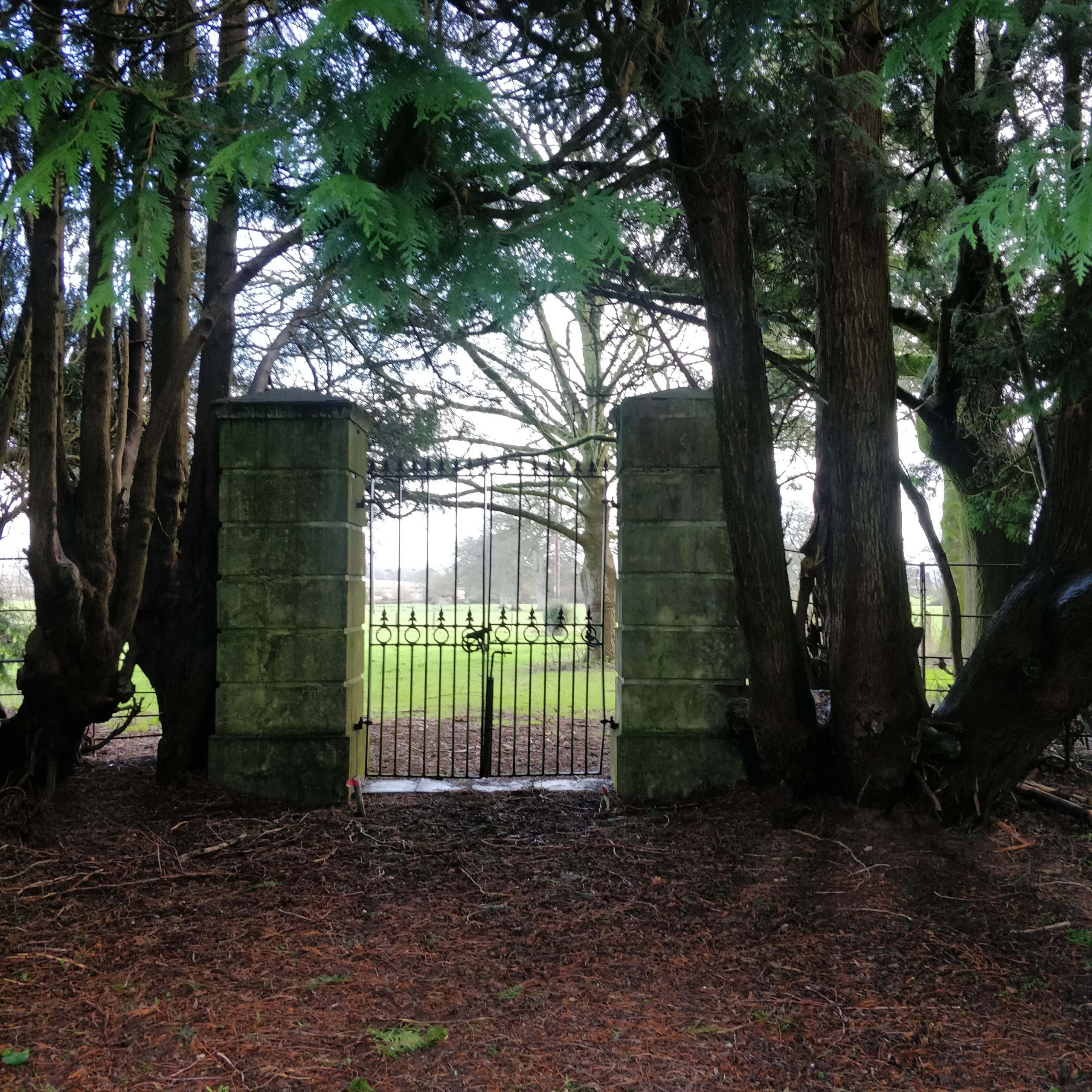 Poltimore House