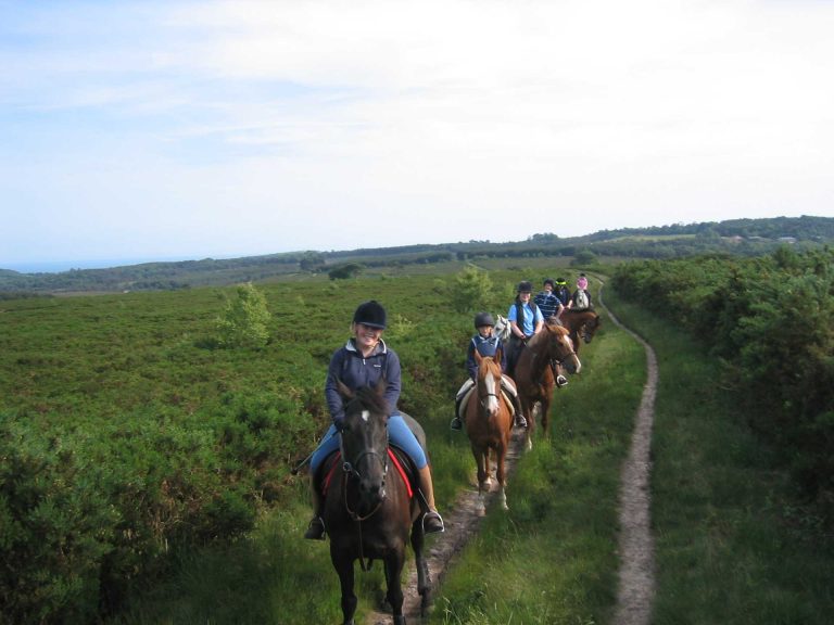 Horse Riding