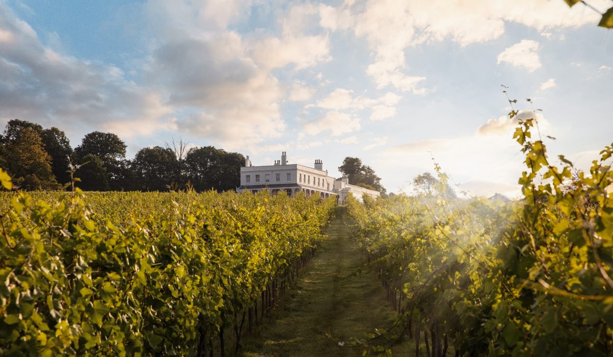 1X2A1080SM - Lympstone Manor