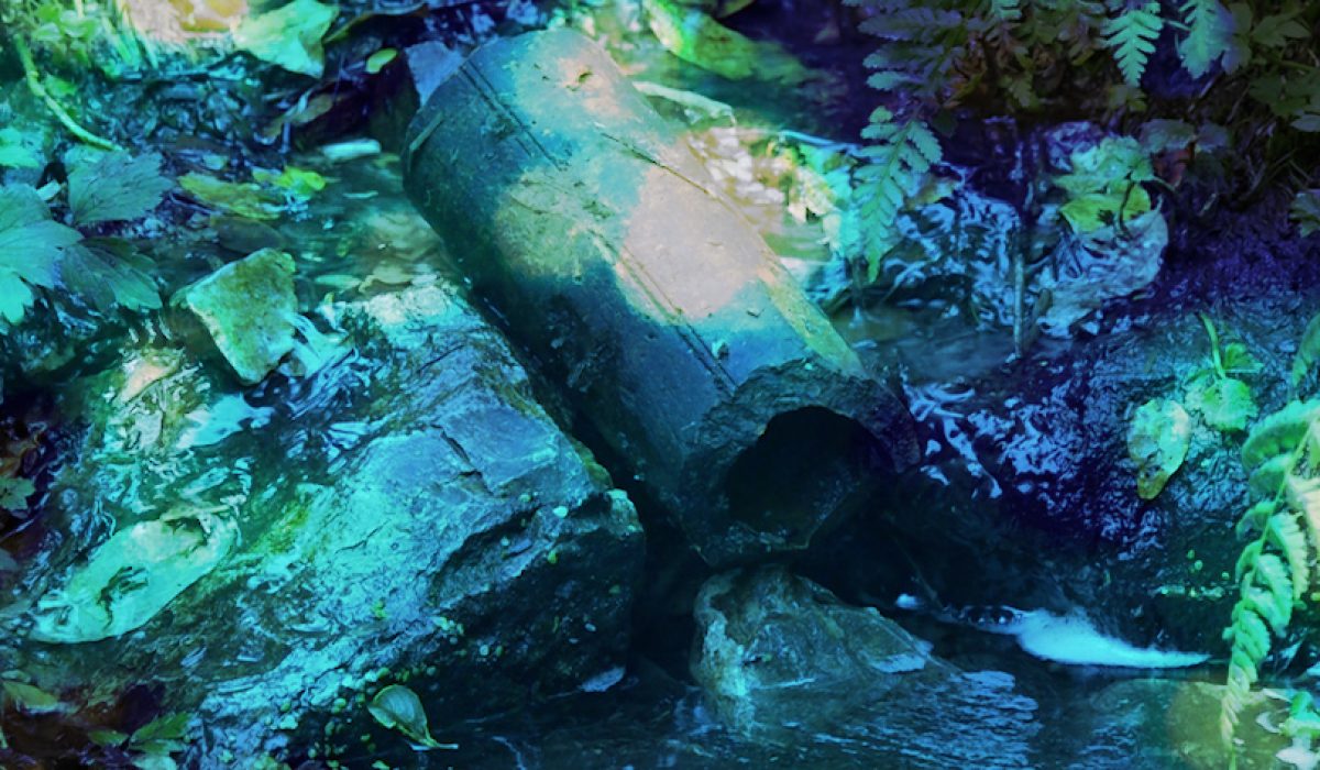 Thelma Hulbert Gallery