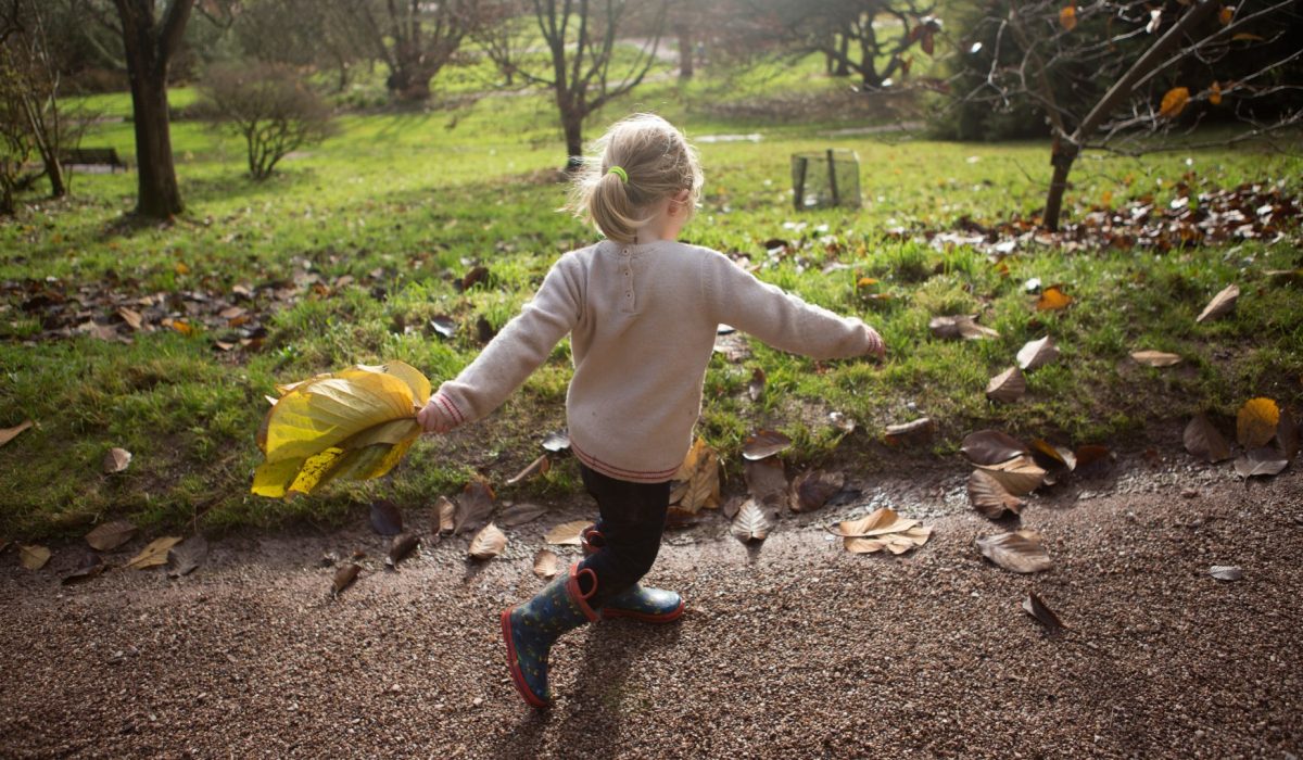 Killerton House