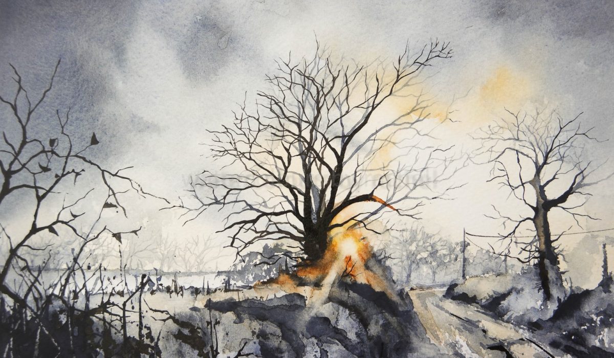 SAMSUNG CAMERA PICTURES