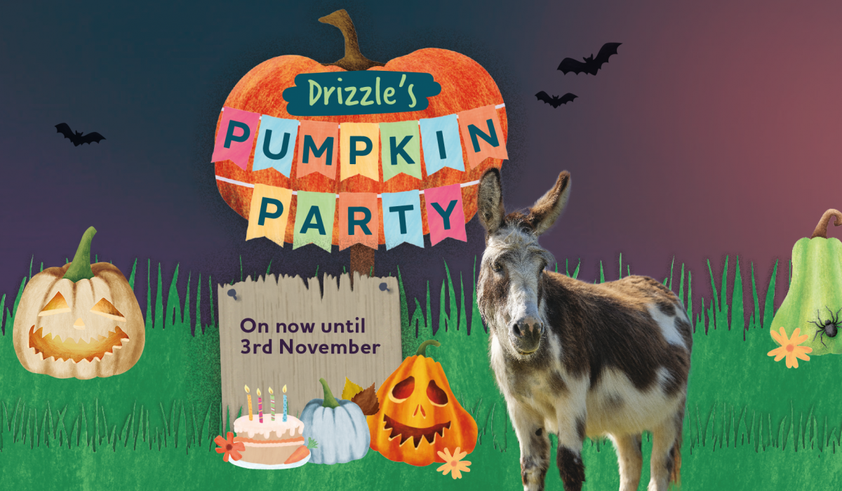 The Donkey Sanctuary