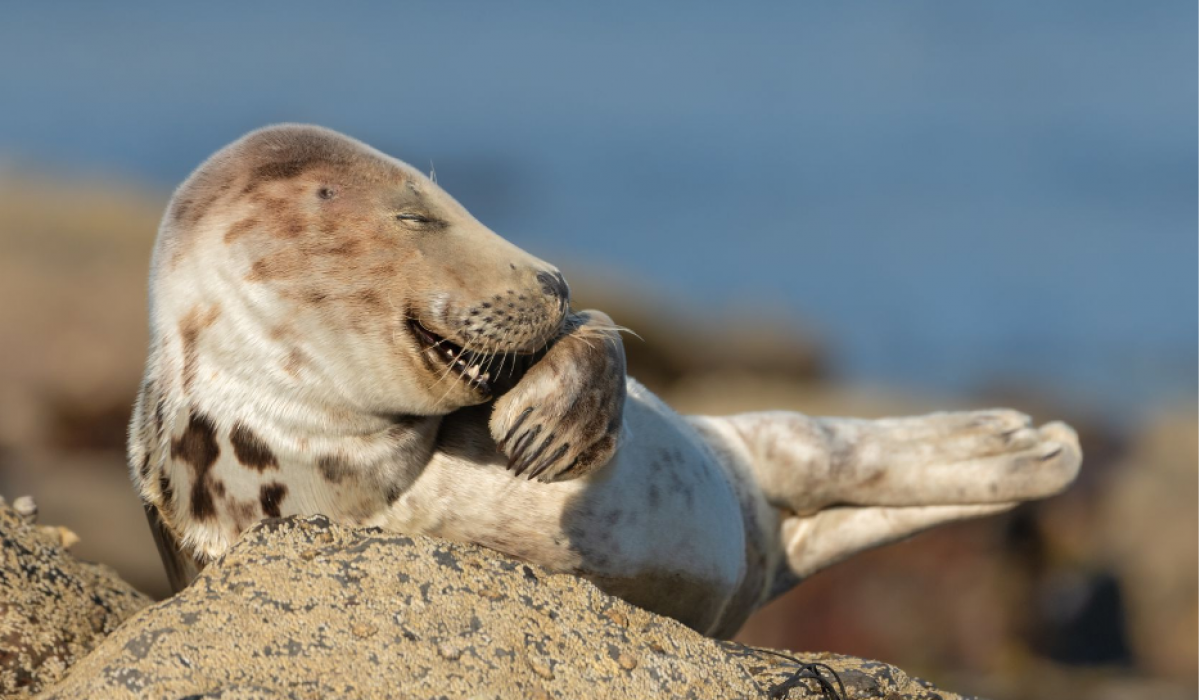 Screenshot 2025-11-18 15.02.32