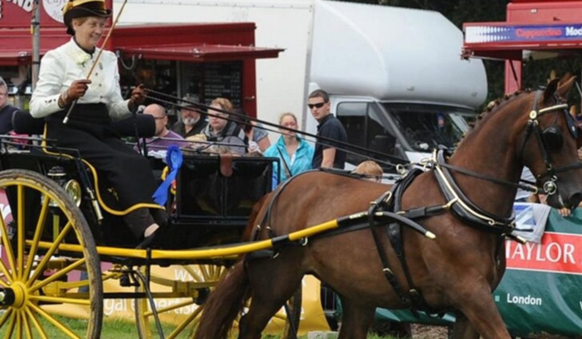 Honiton Agricultural Show